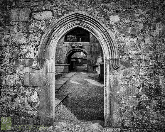 Main Entrance, Ross Errilly Friary Ruins