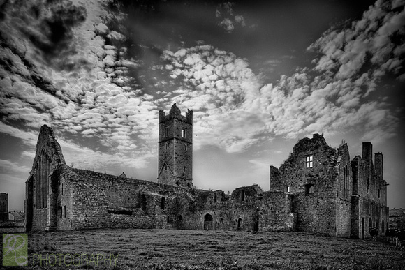 Kilmallock Dominican Priory Ruins #2