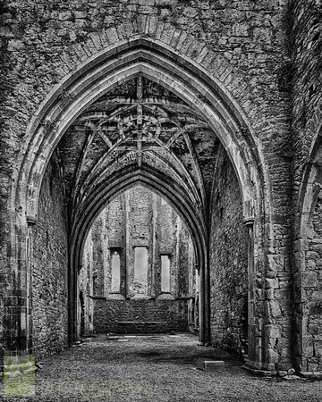 Hore Abbey Ruins #1 in Monochrome
