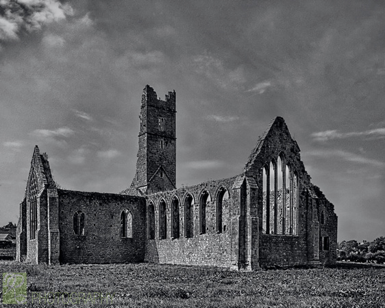 Kilmallock Dominican Priory Ruins #1