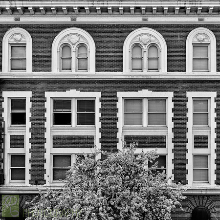 Maubridge Apartments symmetry